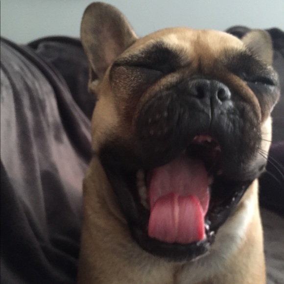 Meet your Posher, Sharon - Picture 2 of 4